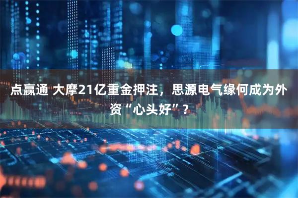 点赢通 大摩21亿重金押注，思源电气缘何成为外资“心头好”？