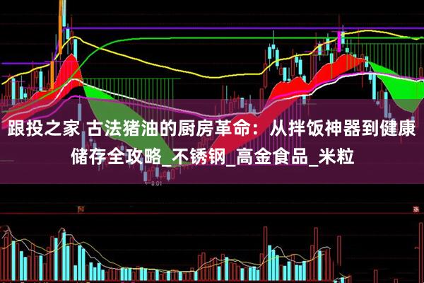跟投之家 古法猪油的厨房革命：从拌饭神器到健康储存全攻略_不锈钢_高金食品_米粒